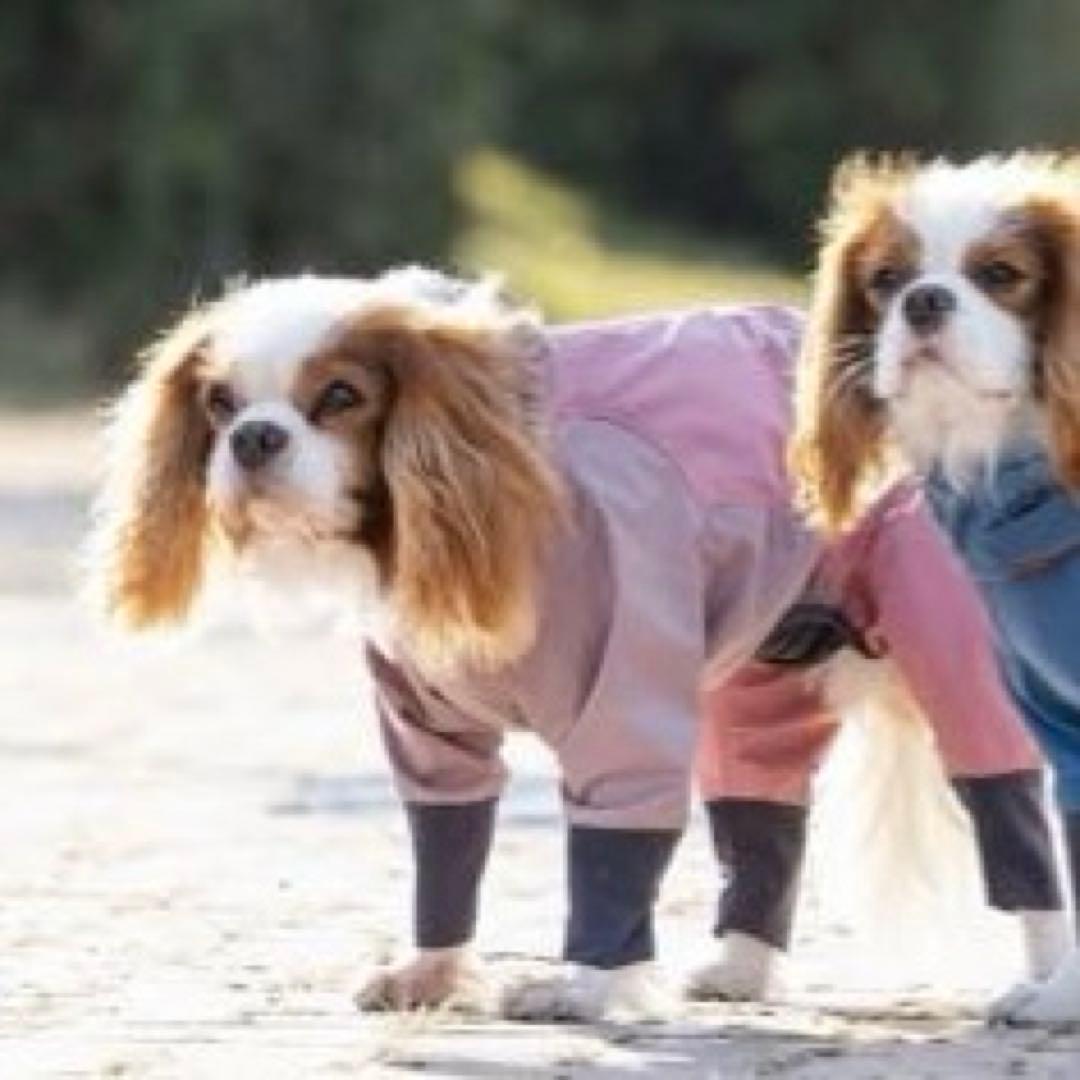 ALPHAICON アルファアイコン レインドッグガード S サイズ ピンク