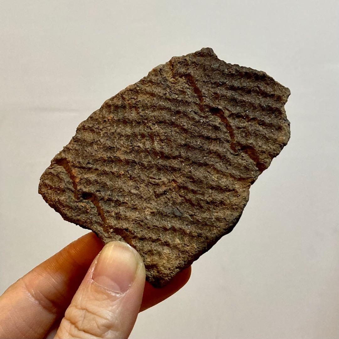 縄文土器の陶片 6点セット　4000〜5500年前