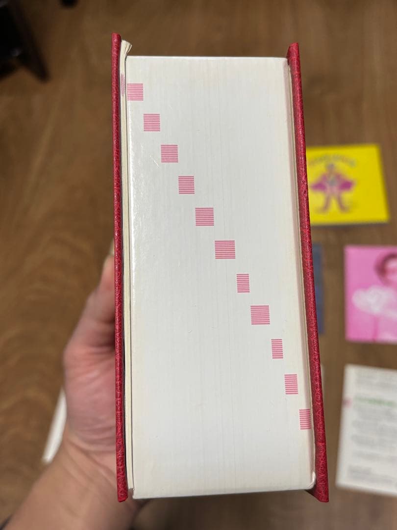 岡村靖幸 色々セット