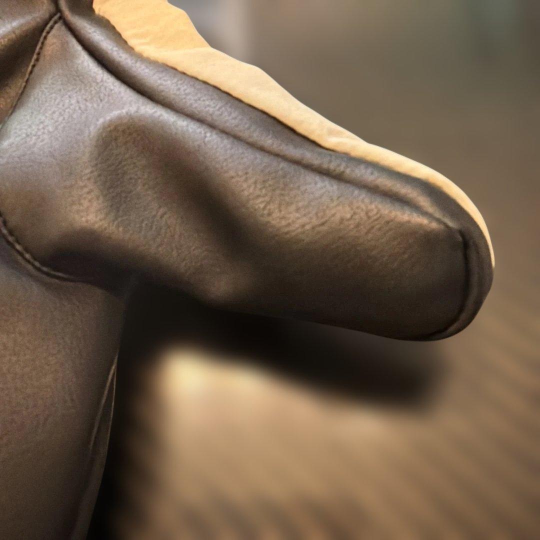 ASHRAM アシュラム　スノーボードグローブ　ゴアテックス LOGO