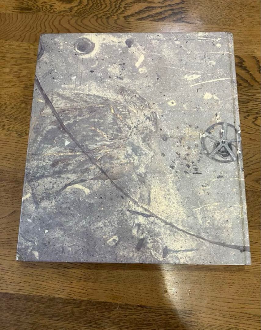 アート・デザイン・音楽 Anselm Kiefer NATIONALGALERIE BERLIN1991