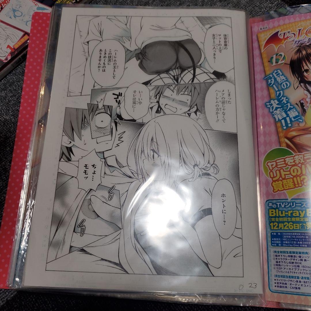 To LOVEる クリアファイル