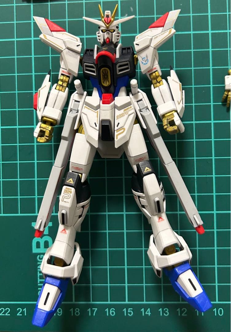 マイティーストライクフリーダムガンダム　塗装完成品　部分塗装　HG