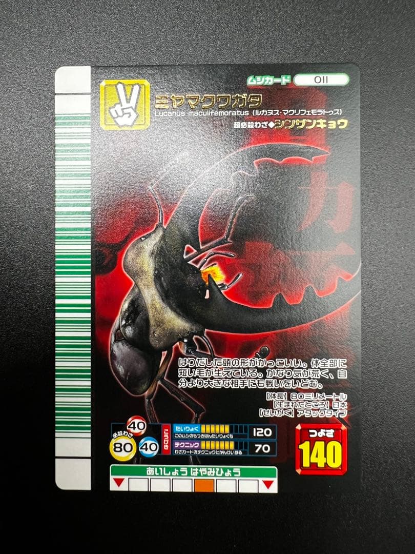 ムシキング　2007 ファースト　スーパーシンザンキョウ　セット