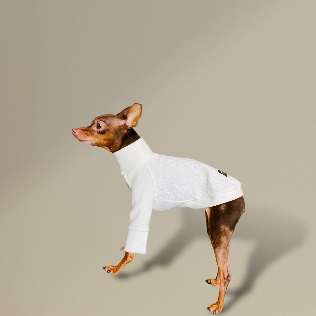 ⑭アラン風ニットトップス