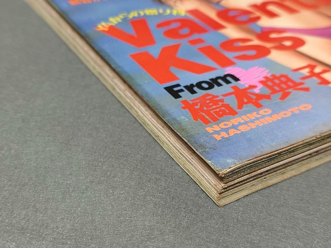 ヤングアニマル1995年4号/ベルセルク第52話/橋本典子表紙&水着グラビア