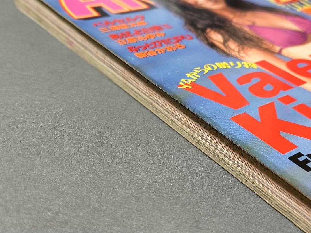 ヤングアニマル1995年4号/ベルセルク第52話/橋本典子表紙&水着グラビア