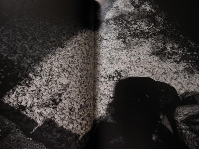 ANGO　森山大道　Daido Moriyama　直筆サイン入り