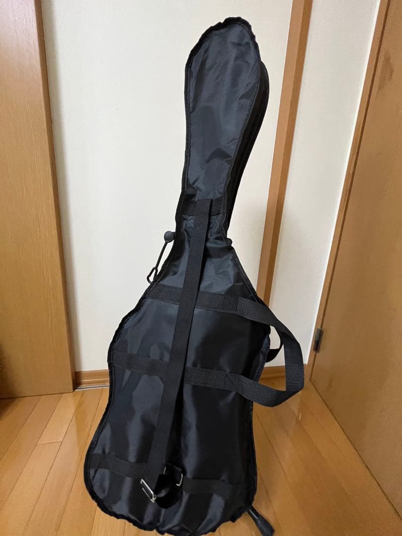 FERNANDES FR-55 purple エレキギター