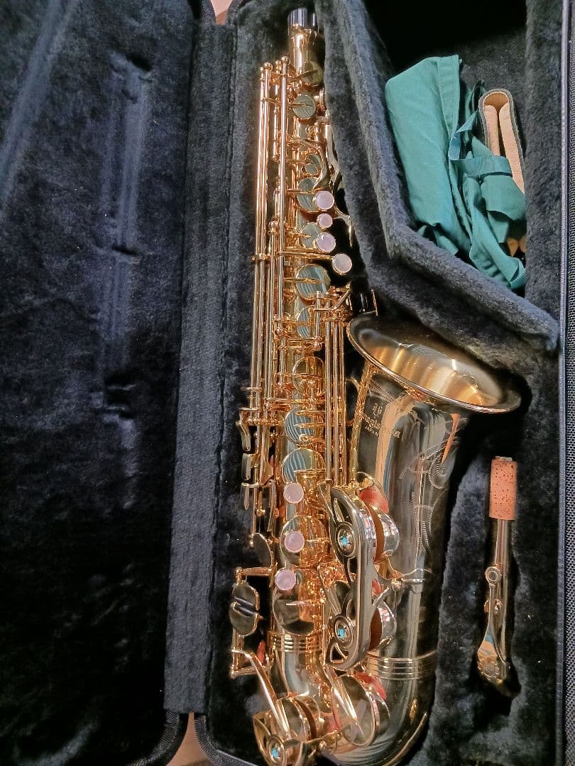 J892 YANAGISAWA アルトサックス W01 00388575 美品