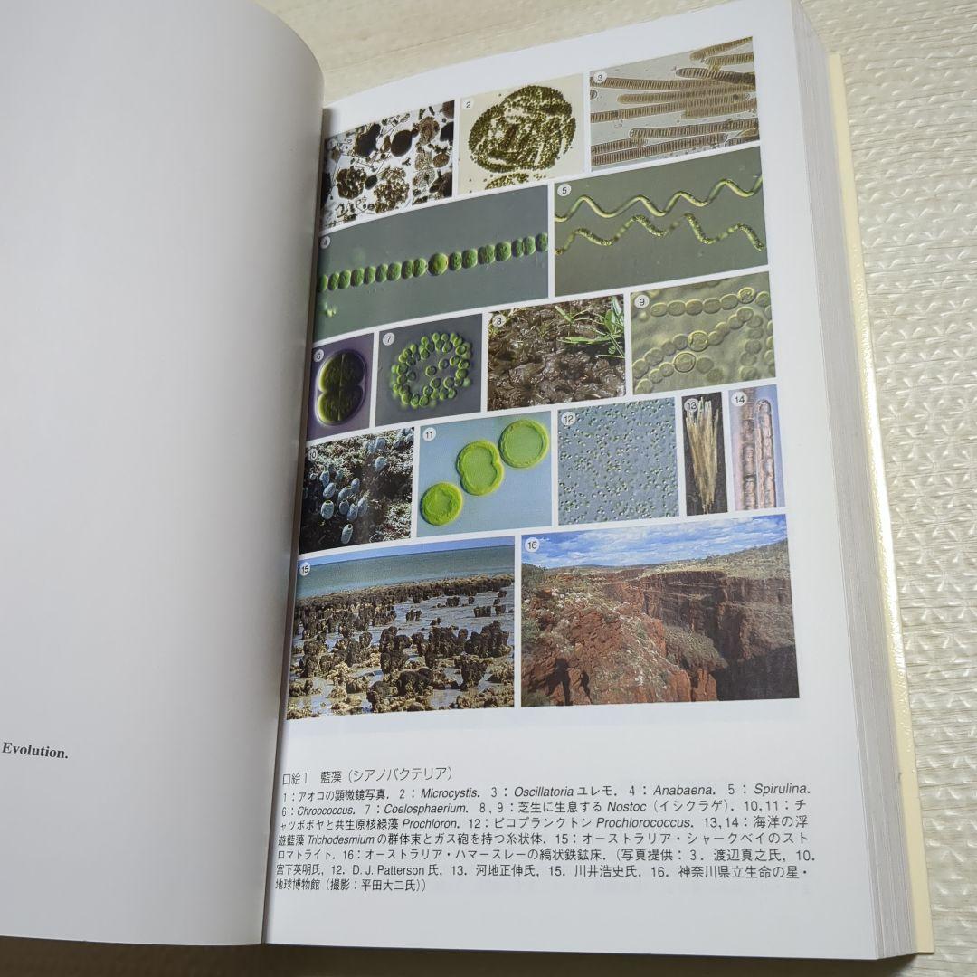 藻類30億年の自然史 藻類からみる生物進化
