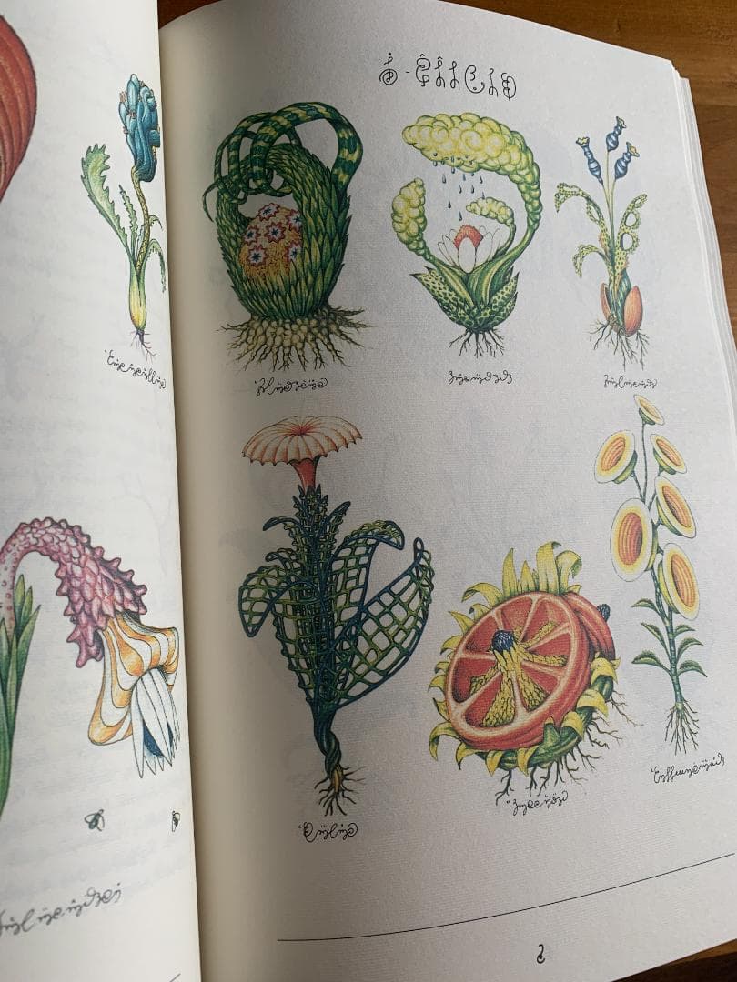 C*N様 Codex Seraphinianus 新しく特別な版
