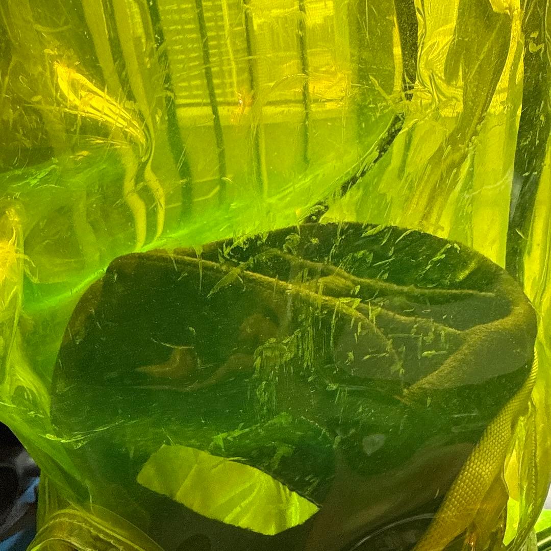 【k.F 】muta MARINE GOLF クリアキャディバッグ