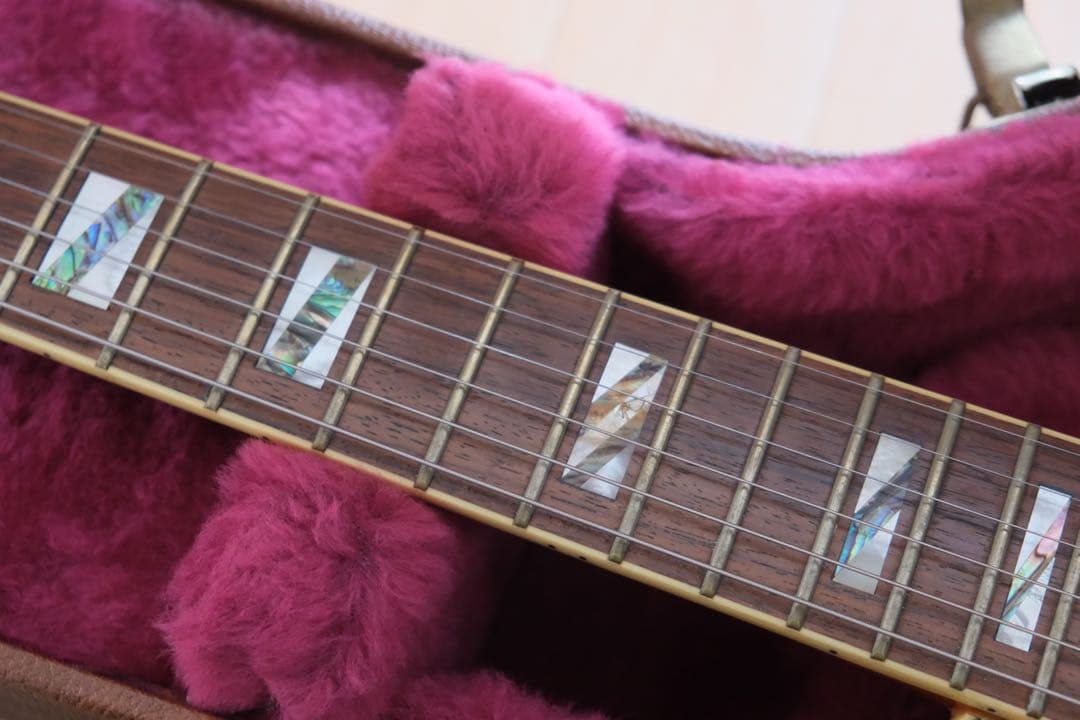 Aria Pro Ⅱ PE-Anniversary 限定モデル ハードケース付属