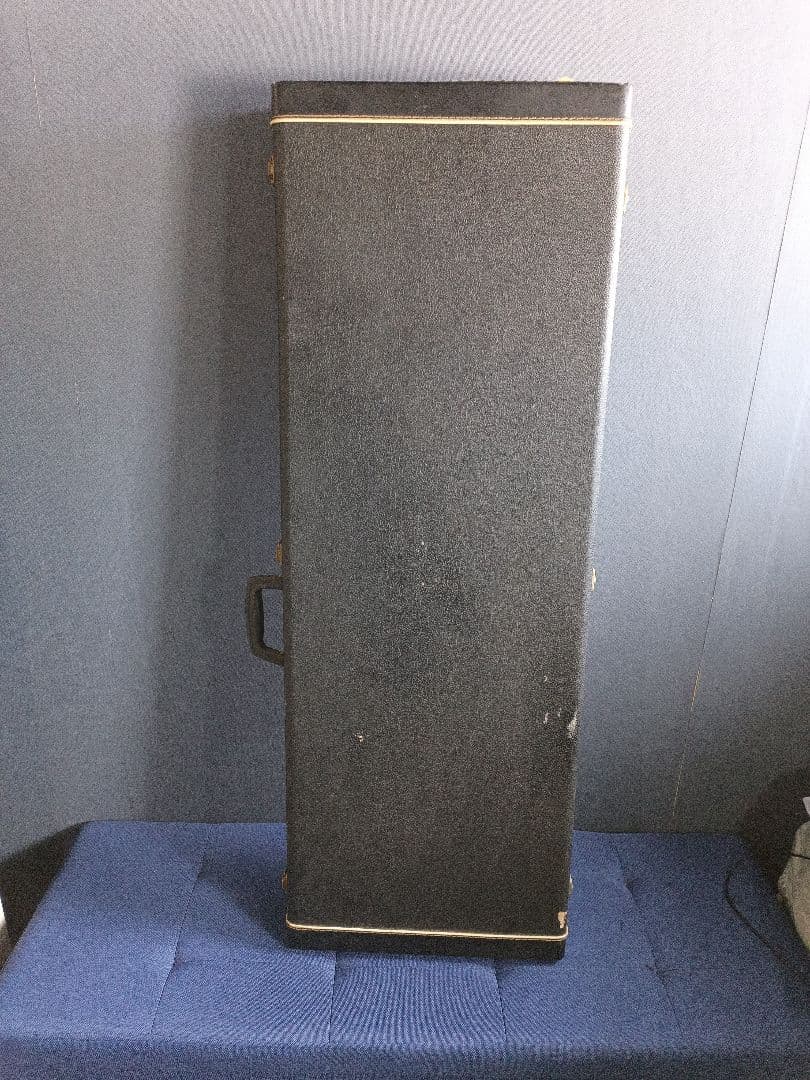 Chatting Bird CAD-630 エレキギター 青緑