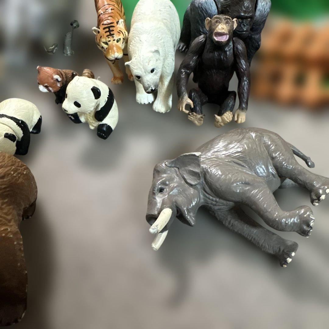 アニア　アニマルアドベンチャー　フィギュア