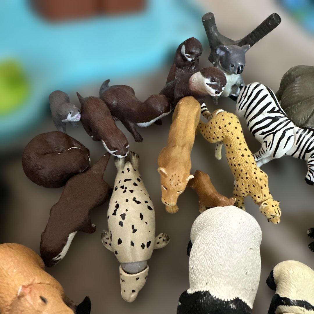 アニア　アニマルアドベンチャー　フィギュア