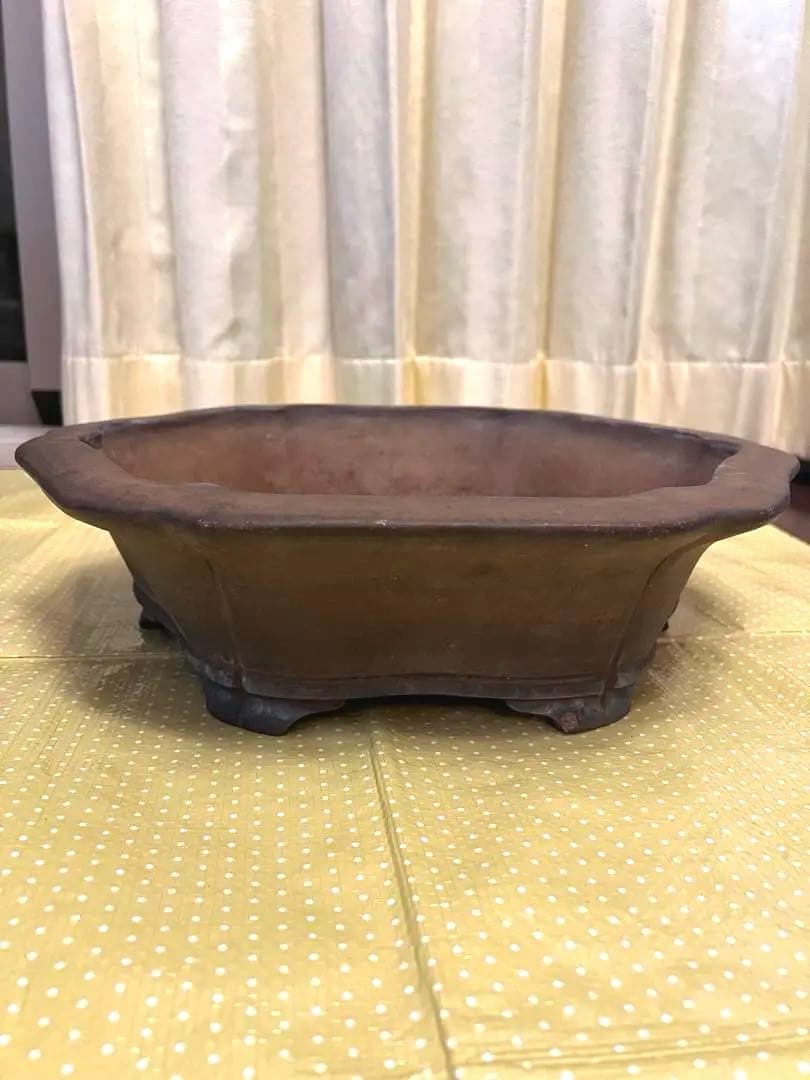 もつなべ　盆栽鉢　大型　斎田三峰　おまとめ