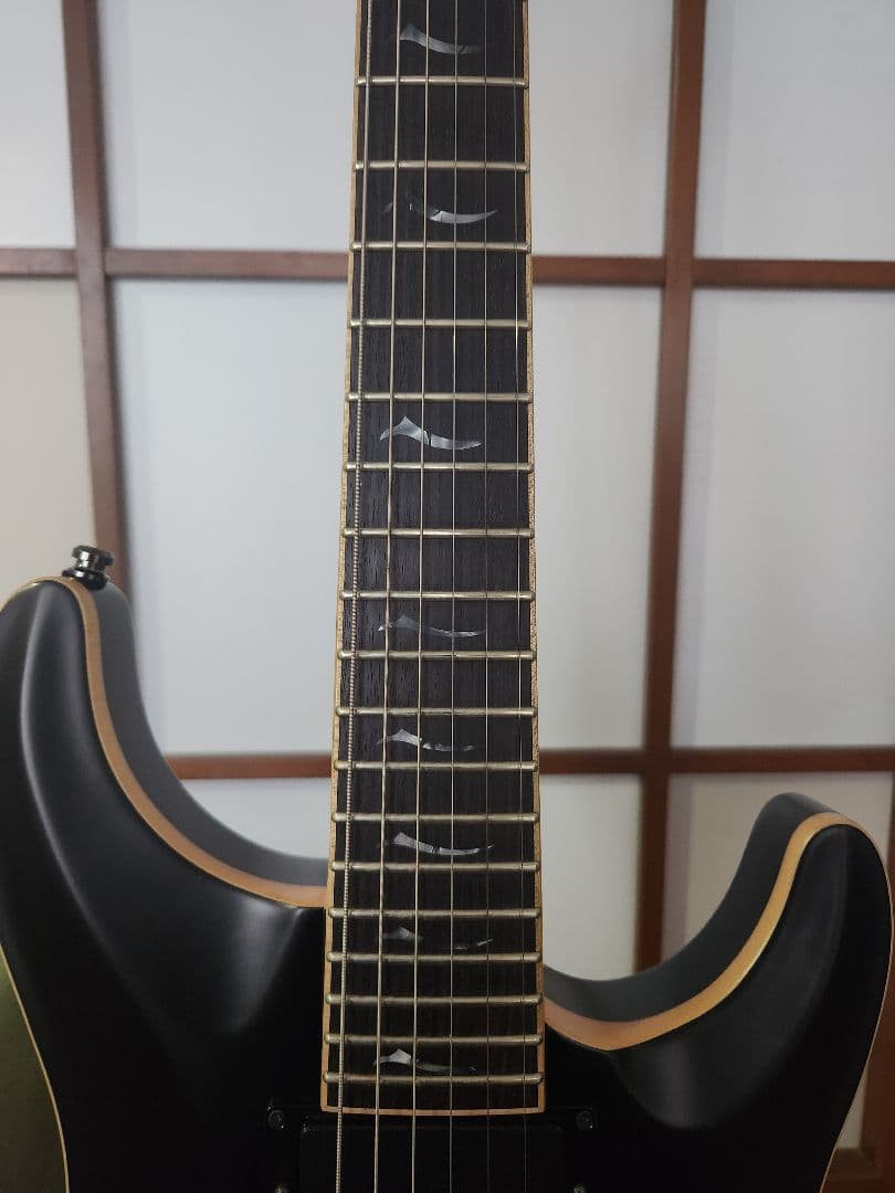 フジゲン Fujigen Expert Elan