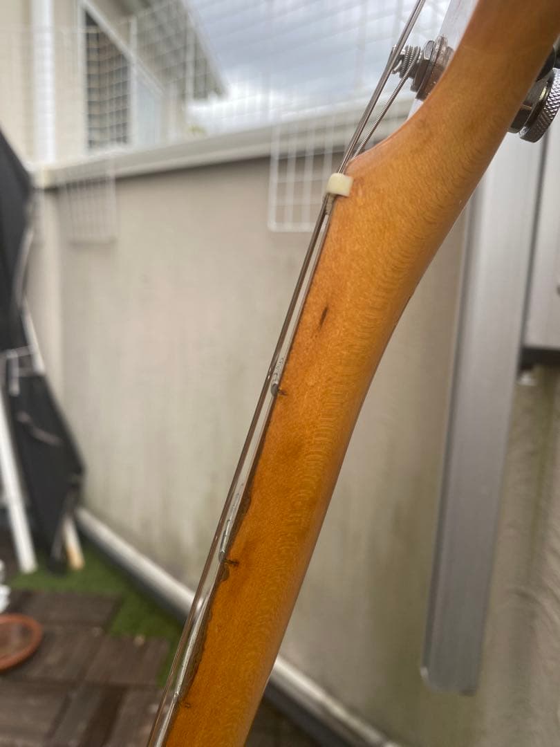 Aria proII(ストラトキャスター タイプ/コンポーネント)