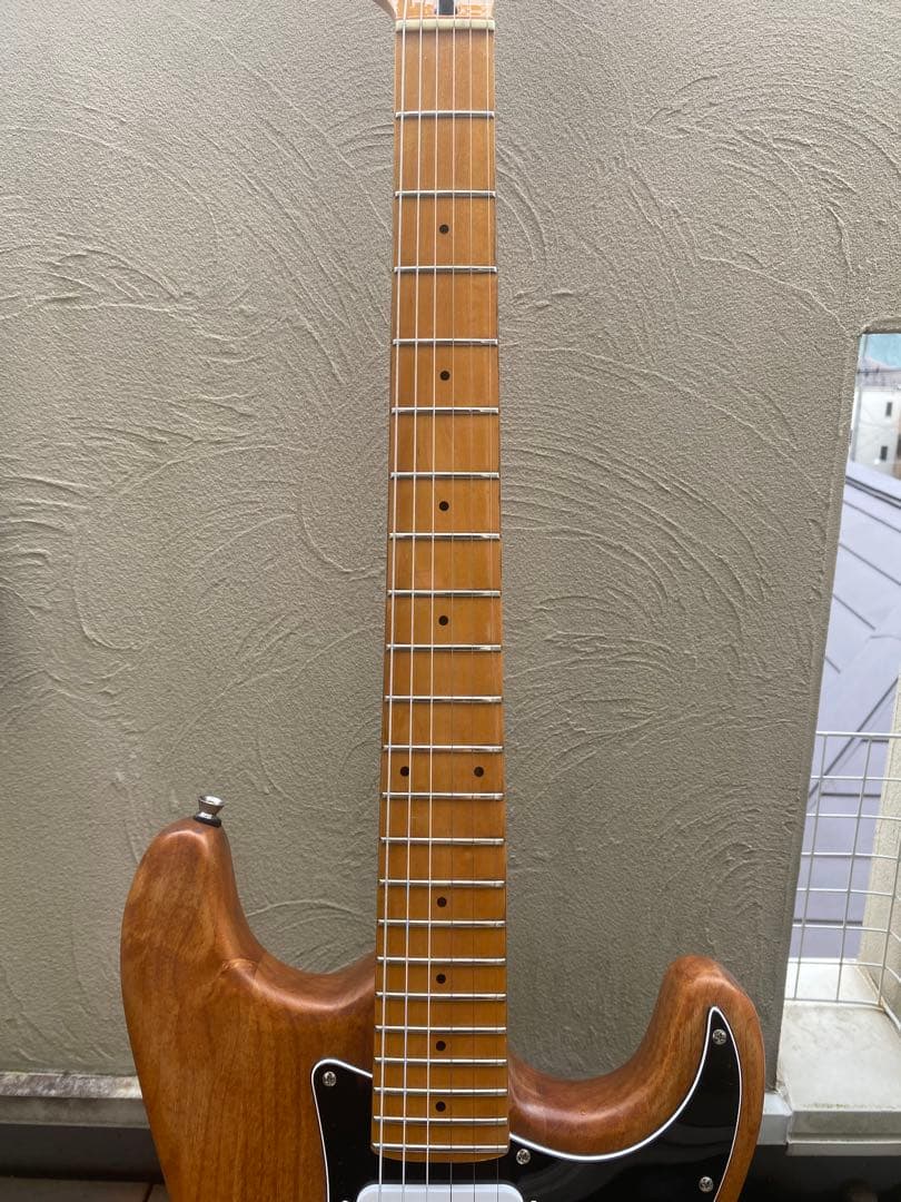 Aria proII(ストラトキャスター タイプ/コンポーネント)