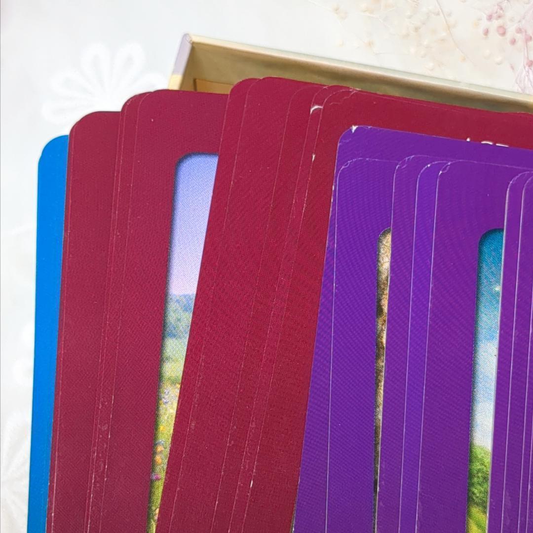 【英語版／正規品】アニマルタロットカード 絶版入手困難 ドリーン・バーチュー