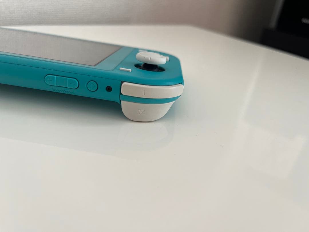 Nintendo Switch Liteターコイズ 充電器SDカードケース付き