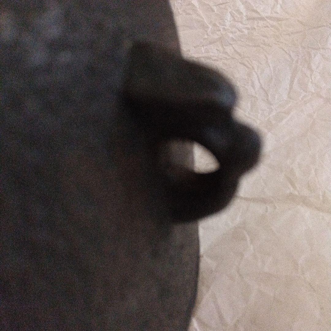 【茶道具】茶釜