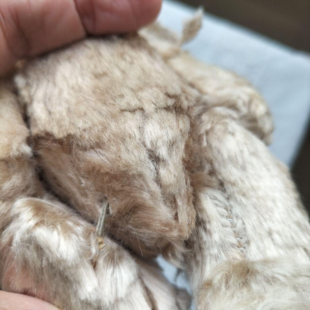 ★専用です★ビンテージ　テディベア　Dakin ポーリッシュベア　ベージュ