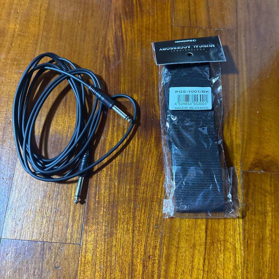 SELDERエレキギター (ソフトケース、シールドケーブル付属)