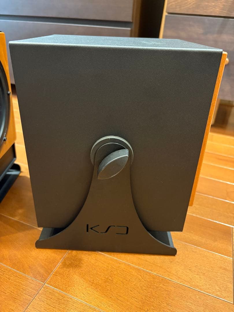 KS digital C5-Reference モニタースピーカー ペア