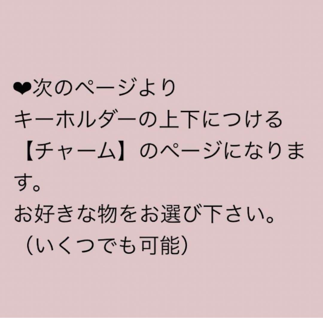 2/3限定価格❣️オーダー レザー アルファベット ネームタグ キーホルダー