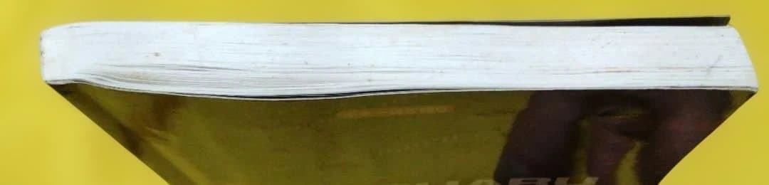 最終値下げ♪佐野元春 ギター・ソング・ブック