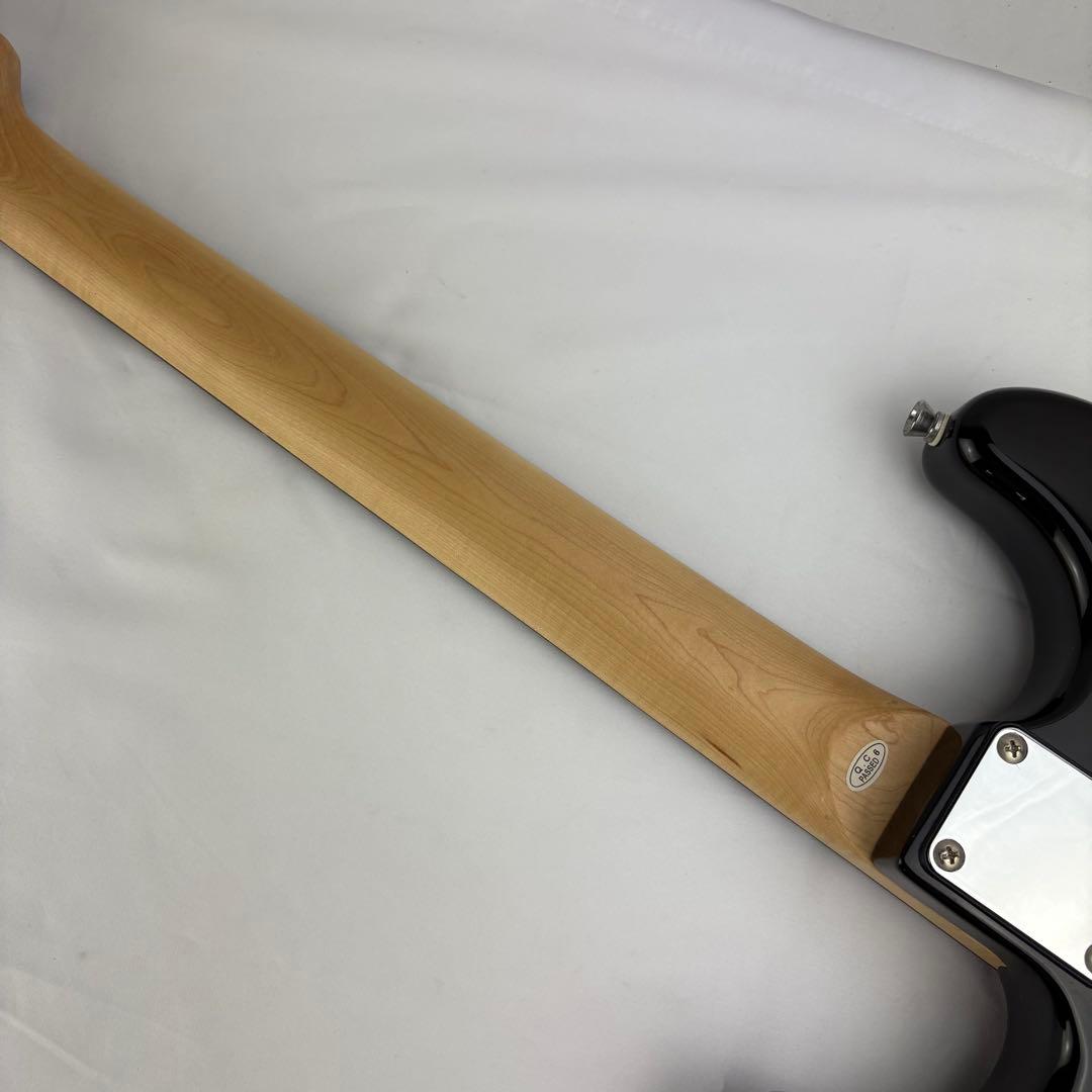 SELDER セルダー エレキギター ストラトキャスタータイプ ソフトケース付き