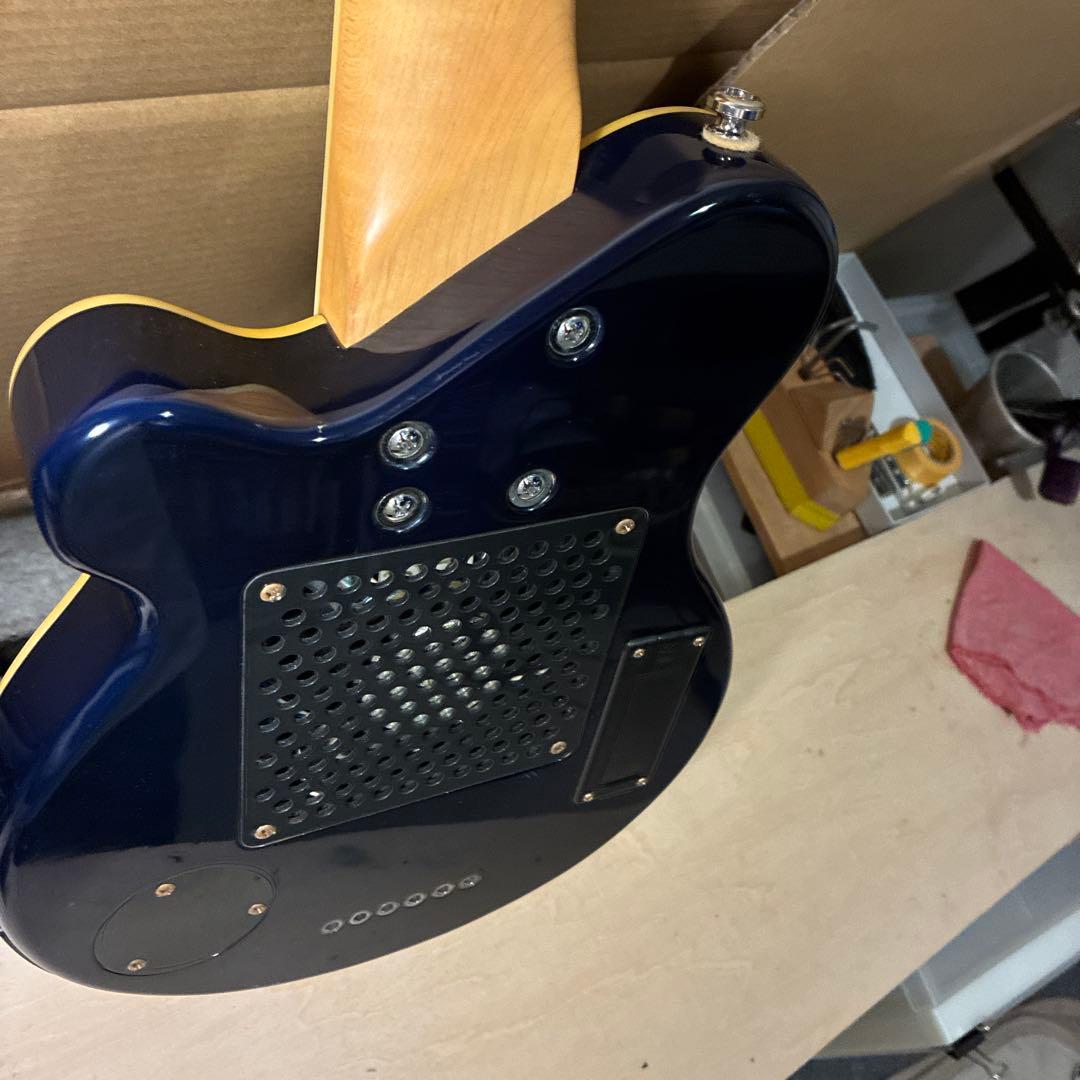 ピグノーズPGG259青