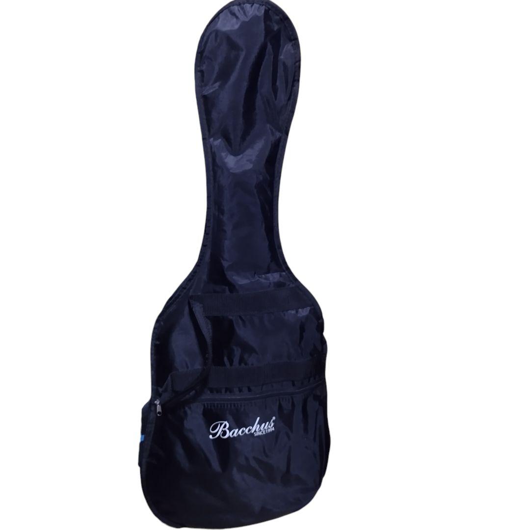 Bacchus SST-Mini DLP ミニエレキギター　バッカス