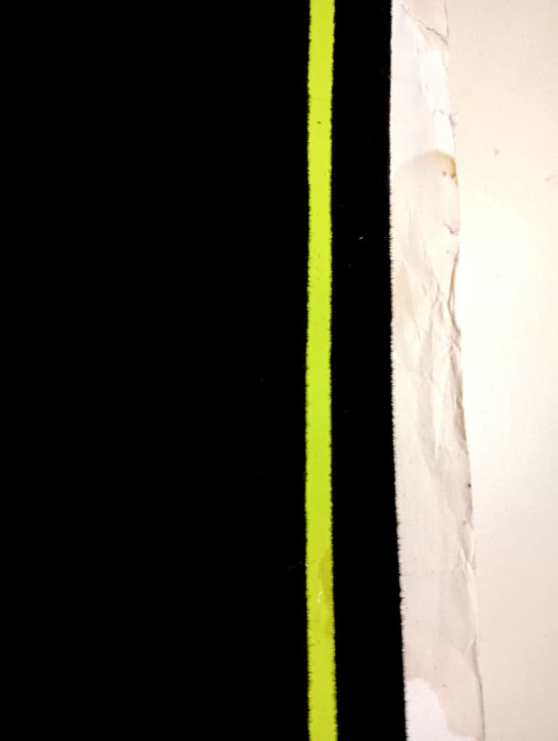 希少 90sビンテージ ベルベットポスター『SWAN SONG』 ツェッペリンC