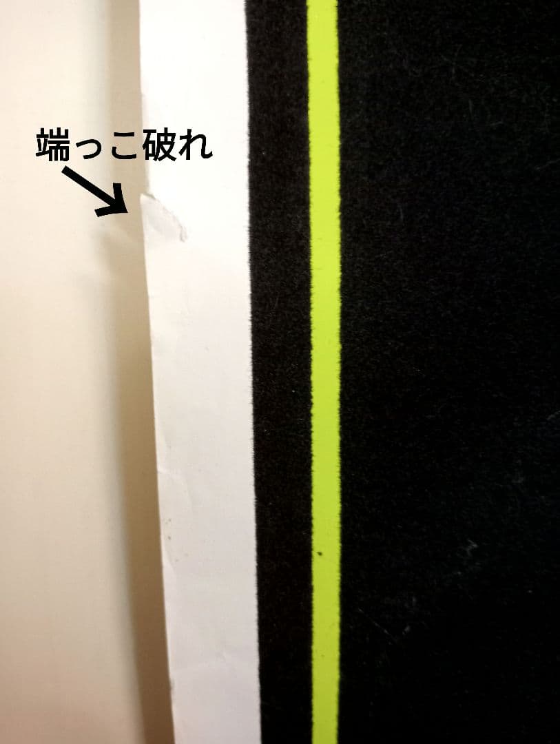 希少 90sビンテージ ベルベットポスター『SWAN SONG』 ツェッペリンC