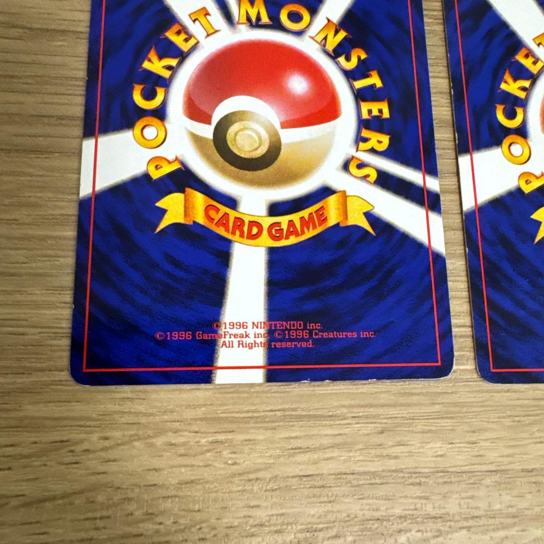 ゼニガメ、カメール イントロパック【5436