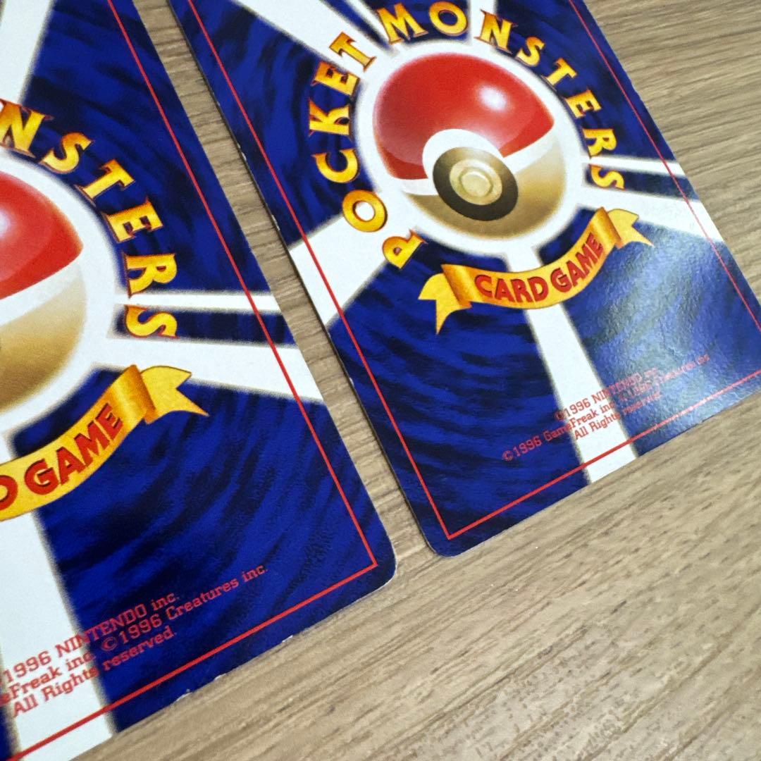 ゼニガメ、カメール イントロパック【5436