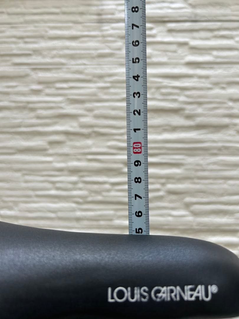 キッズ用自転車 ルイガノ（22インチ）