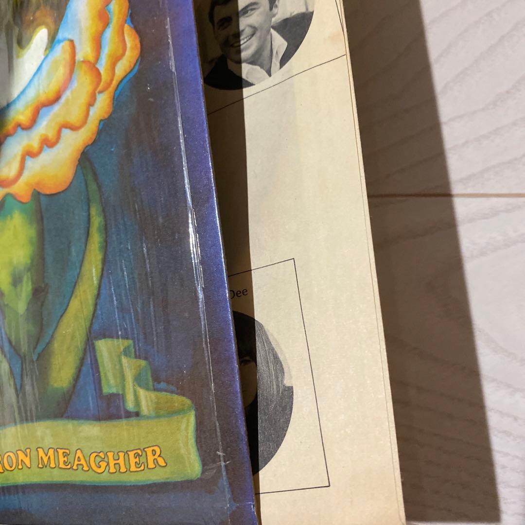 USオリジナル　アナログ盤/ゴールドレーベル/バーバンクサウンド