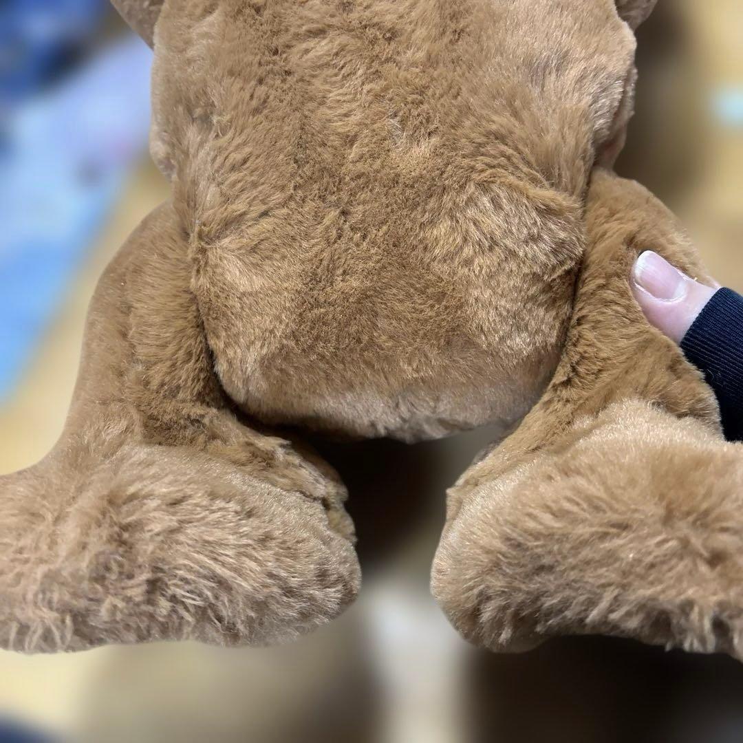 【廃盤品】電動ぬいぐるみ「ファーリアル 遊ぶのだいすき♪ こぐまのカビー」