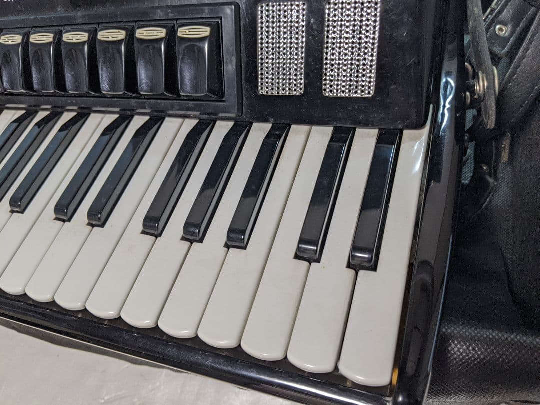 TOMBO トンボ アコーディオン J-48 Accordion ハードケース付