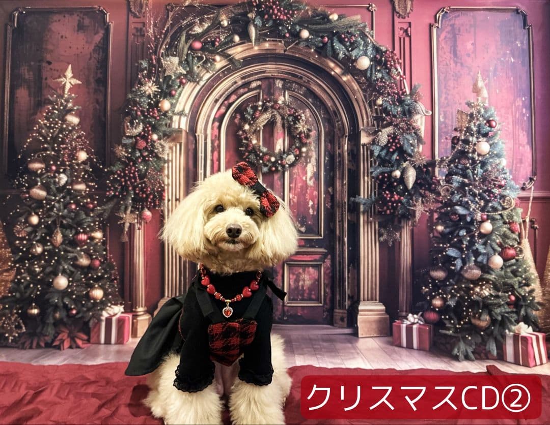 縦長　背景布×8+1　ペット撮影用ブース　トリミングチョーカー販売中　クリスマス