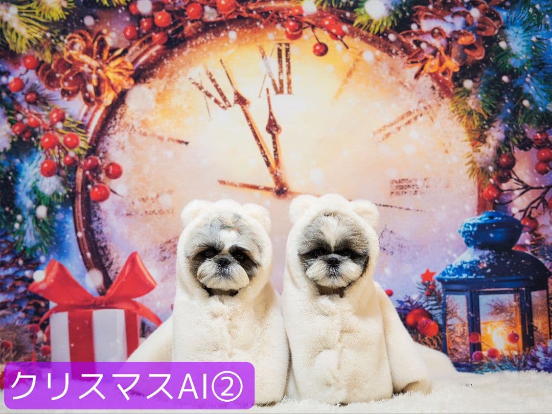 縦長　背景布×8+1　ペット撮影用ブース　トリミングチョーカー販売中　クリスマス