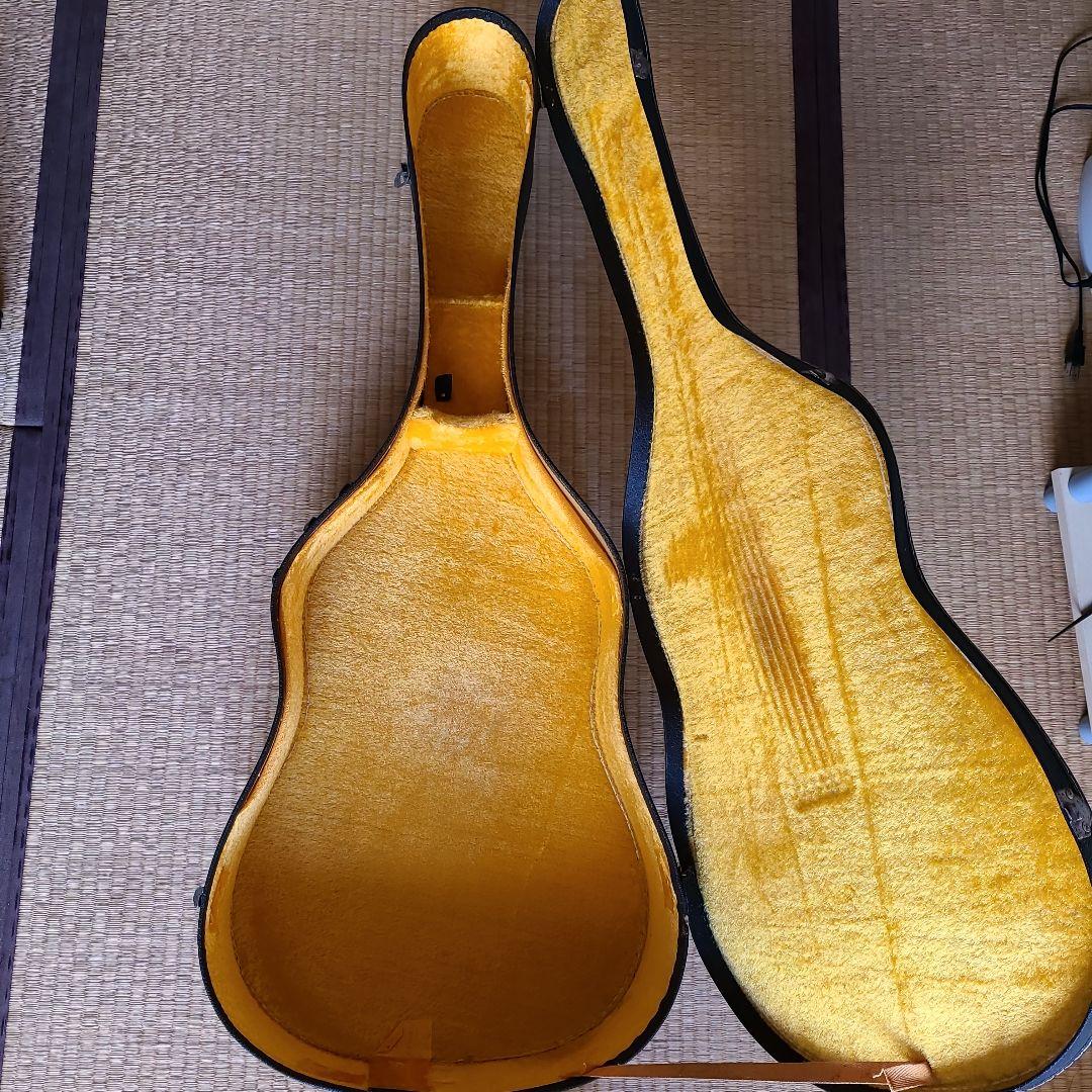 Morris アコースティックギター ドレッドノート