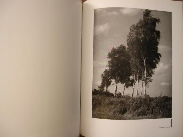 アート・デザイン・音楽 In the Bauhaus Spirit: Photographs 1925