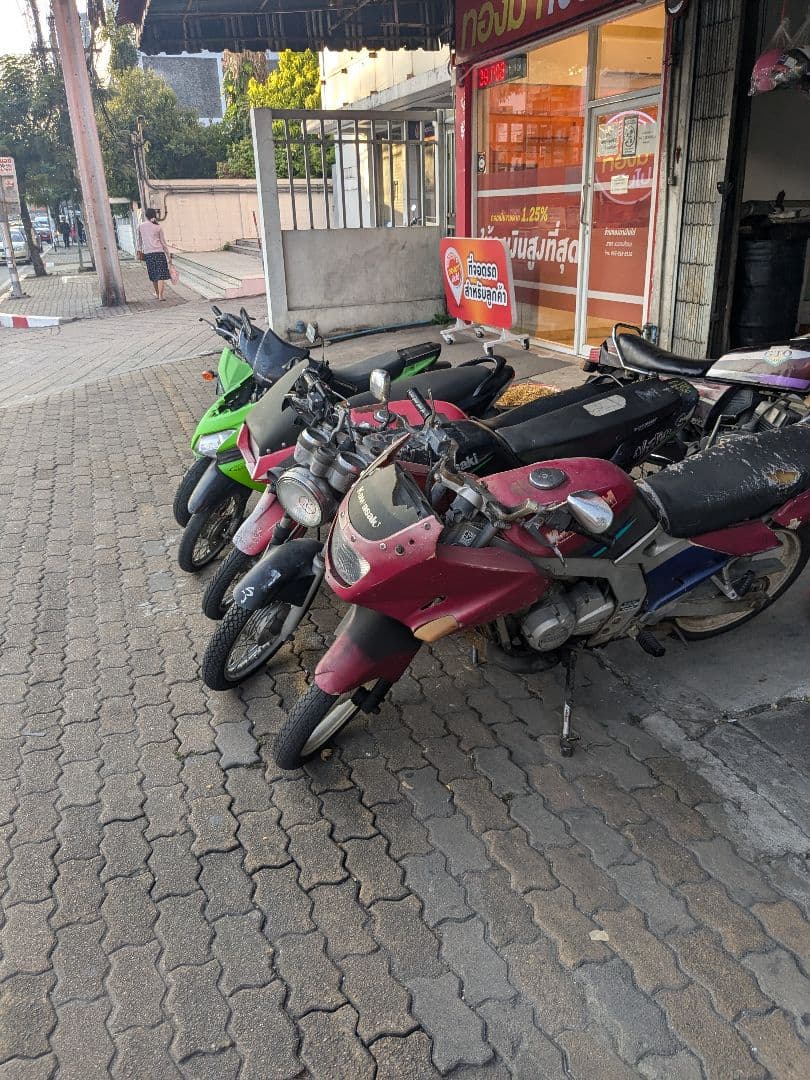 タイのお守りプラクルアン！1/24！九尾の狐！セクシーフィギュア！取説付き！