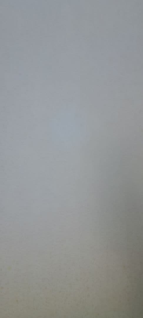 ビートたけし FICCE 特大ポスター